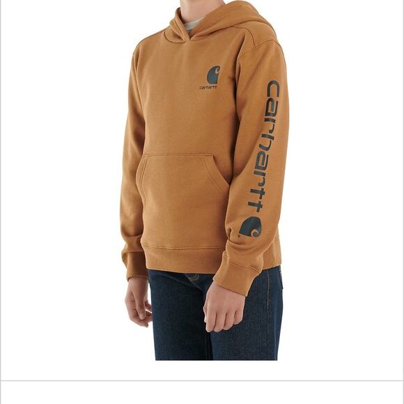 Carhartt Boys Long Sleeve graphic hooded sweatshirt brown size large 14/16 NWOT - Picture 8 of 8